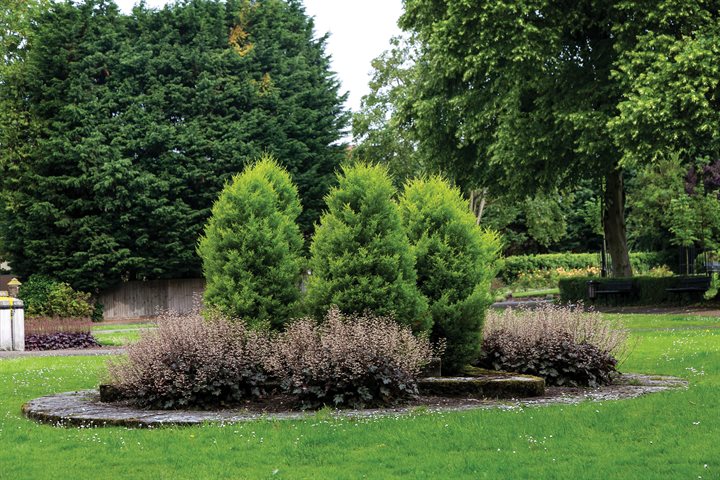 Gardens at Bishops Stortford Register Office