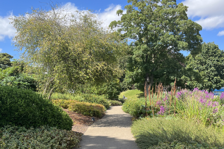 Garden at Hemel Hempstead Register Office