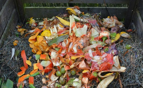 Food compost
